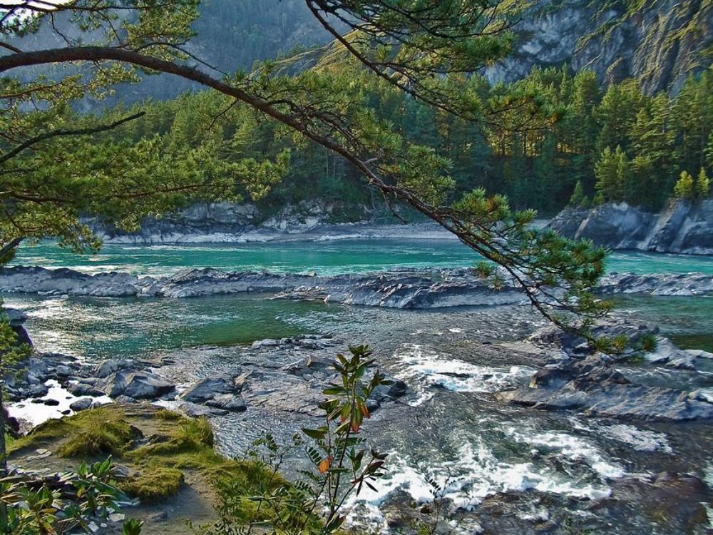 Катунь
