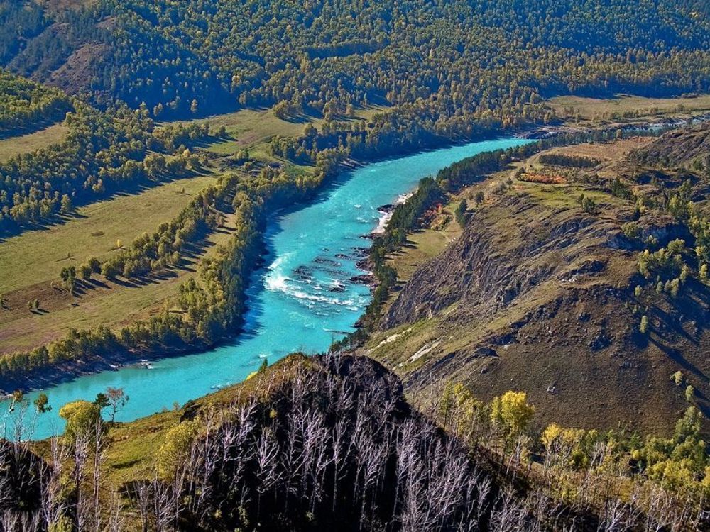 Катунь