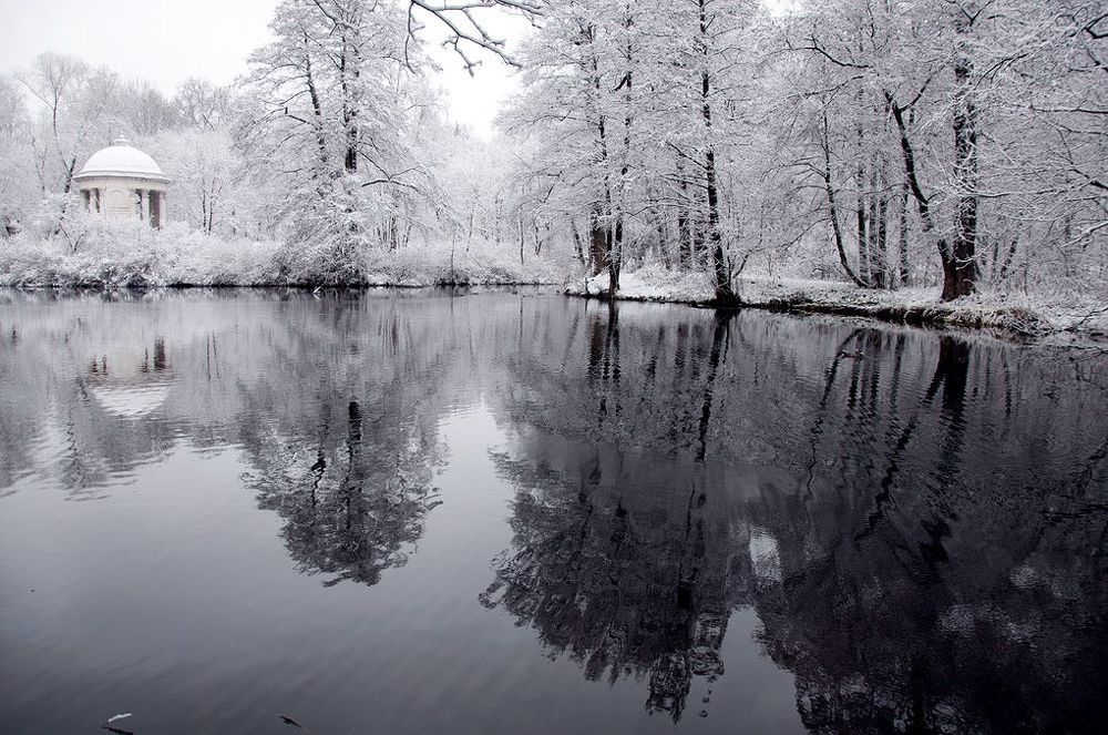 О белой жемчужине и черной воде.