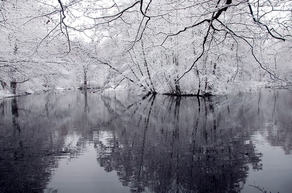 О белой жемчужине и черной воде.