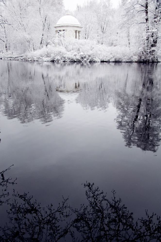 О белой жемчужине и черной воде.