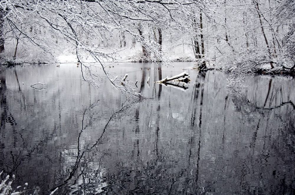 О белой жемчужине и черной воде.