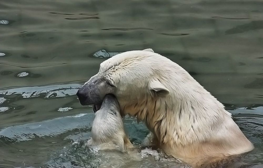 Мамочка спасибо!