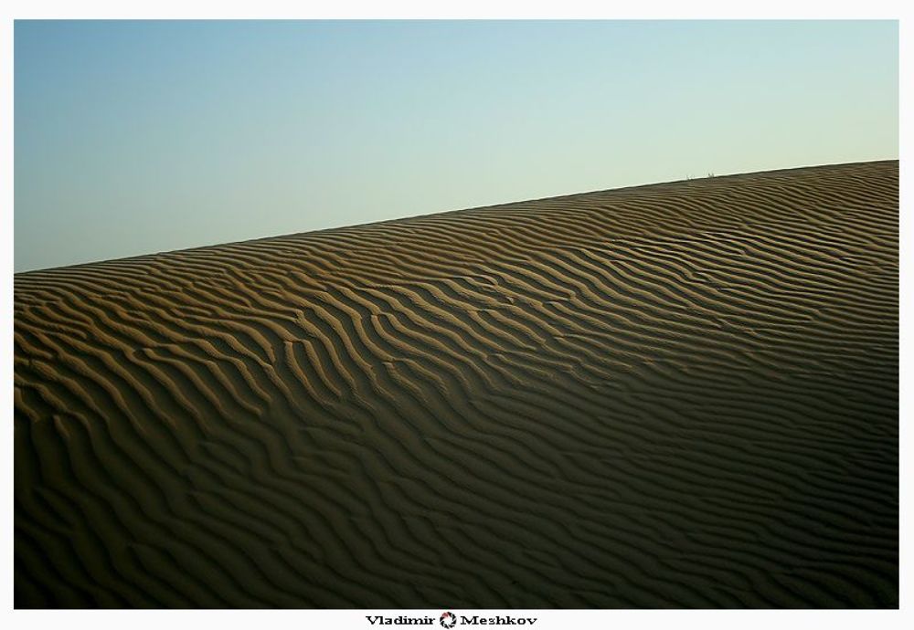 Сахара (араб. صحراء, фр. Sahara) .
В горных районах пустыни встречается реликтовая неогеновая флора, зачатую родственная средиземноморской, много эндемиков. Среди реликтовых древесных растений, произрастающих в горных районах — некоторые виды олив, кипариса и мастиковое дерево. Также представлены виды акации, тамарисков и полыни, дум-пальма, олеандр, финик пальчатый, тимьян, эфедра. В оазисах возделывают финики, инжир, оливковые и фруктовые деревья, некоторые цитрусовые, различные овощи. Травяные растения, произрастающие во многих частях пустыни, представлены родами триостница, полевичка и просо. На побережье Атлантического океана растёт прибрежница и другие солестойкие травы. Различные комбинации эфемеров образуют сезонные пастбища, называемые ашебами. В водоёмах встречаются водоросли.