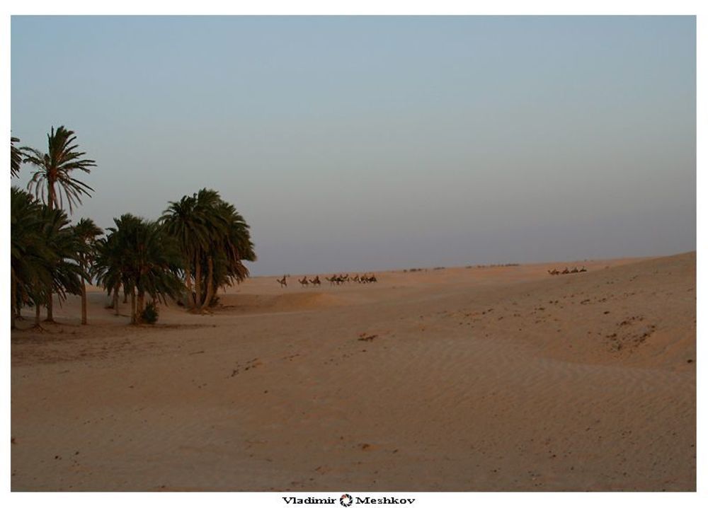 Сахара (араб. صحراء, фр. Sahara) .
Можно путешествовать и так.