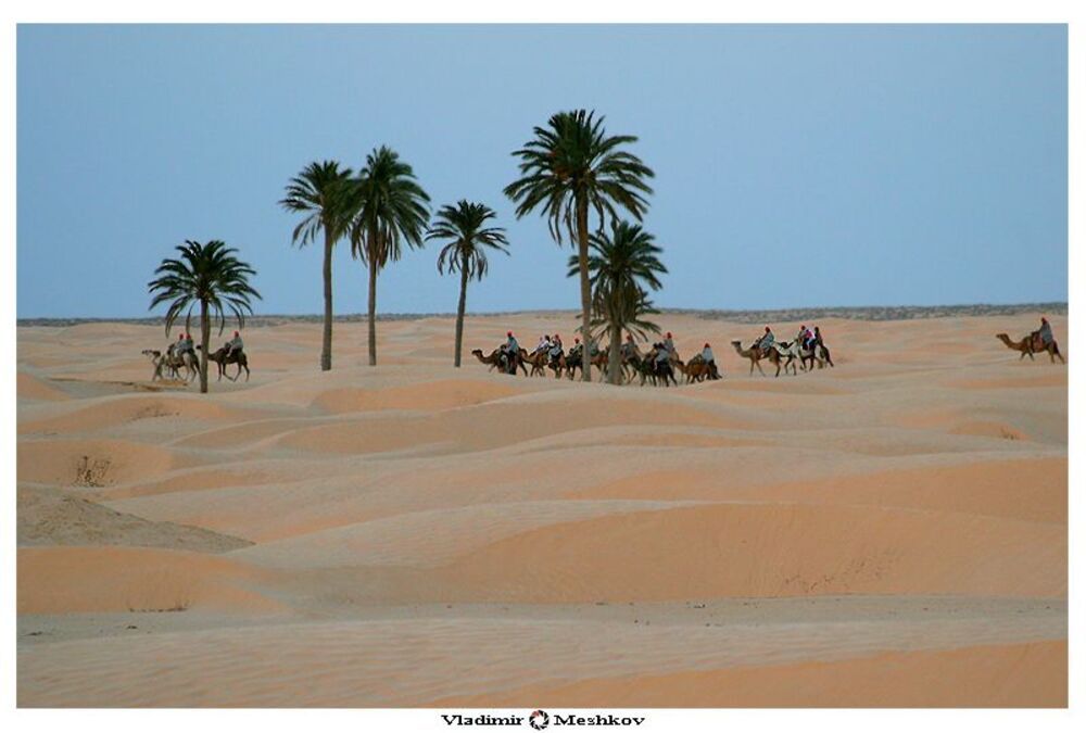 Сахара (араб. صحراء&lrm;&lrm;, фр. Sahara).
  Сахара частично захватывает территорию более десяти государств &mdash; Алжира, Египта, Западной Сахары, Ливии, Мавритании, Мали, Марокко, Нигера, Судана, Туниса, Чада. Обширные пространства Сахары не заселены, оседлый образ жизни ограничен районами оазисов.
Сахара не поддаётся категоризации в рамках одного типа пустыни, хотя преобладающим является песчано-каменистый тип. В составе пустыни различают множество регионов: Тенере, Большой Восточный Эрг, Большой Западный Эрг, Танезруфт, Хамада-эль-Хамра, Эрг-Игиди, Эрг-Шеш, Аравийскую, Ливийскую, Нубийскую пустыни.
          Название &laquo;Сахара&raquo; упоминается с I века н. э. Происходит от арабского слова صَحراء (&laquo;ṣaḥrāʾ&raquo;), которое в переводе означает &laquo;пустыня&raquo; и его множественного числа &laquo;ṣaḥārāʾ&raquo;. Кроме того, имеется связь с прилагательным &laquo;aṣḥar&raquo;, имеющим значение &laquo;пустынный&raquo; с коннотацией красноватого цвета лишённых растительности равнин.
Названия некоторых районов Сахары, такие как Танесруфт (юго-запад Алжира) или Тенере (центр Нигера), часто имеют берберское происхождение.