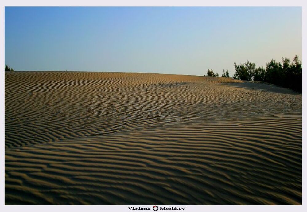 Сахара (араб. صحراء&lrm;&lrm;, фр. Sahara).

Кроме равнин, плато и гор на территории Сахары выделяют многочисленные неглубокие солончаковые бессточные бассейны (себхи, шотты и дайи) и крупные впадины, в которых встречаются оазисы. Наиболее низкорасположенные области &mdash; Каттара (-133 м, самая низкая точка Сахары), Эль-Файюм, Шотт-Мельгир (-26 м) и Боделе.