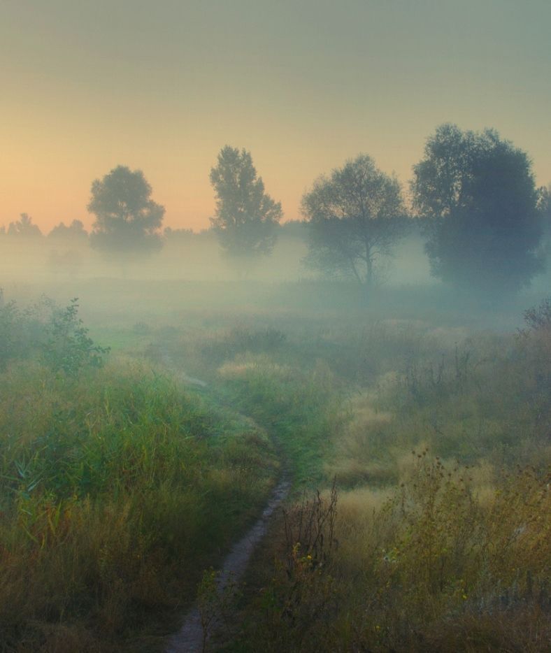 10 фотографий