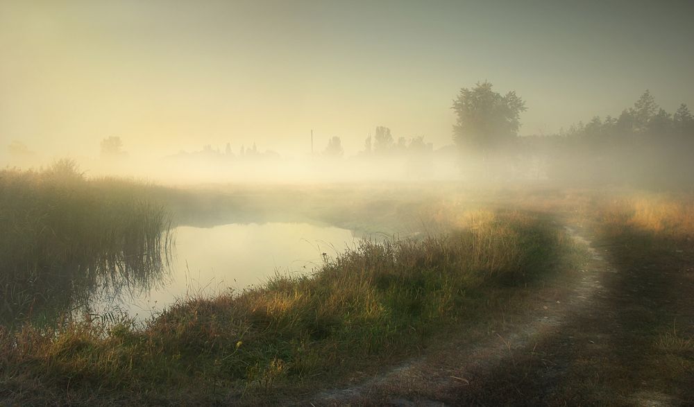 10 фотографий