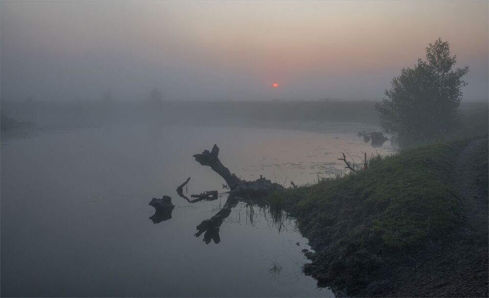 в рассветных туманах...