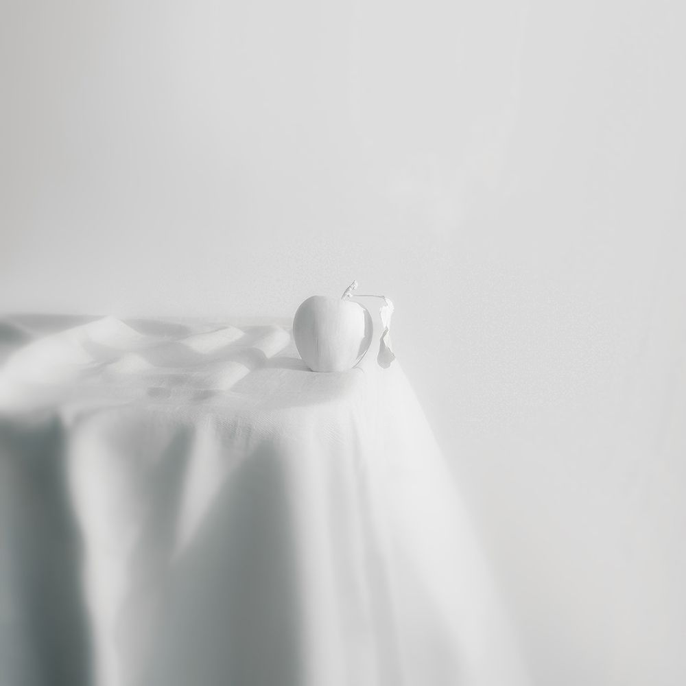 Photo 1800121