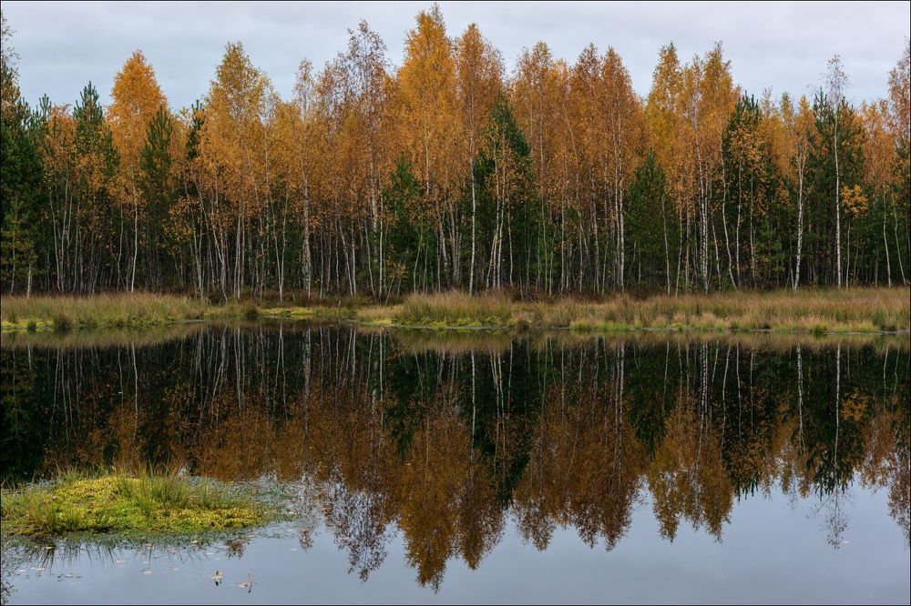 Пасмурным утром
