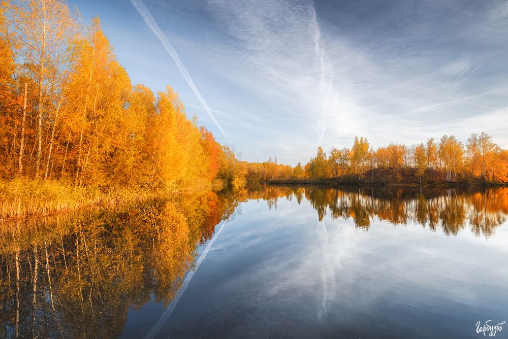 Кондуки цвета осень