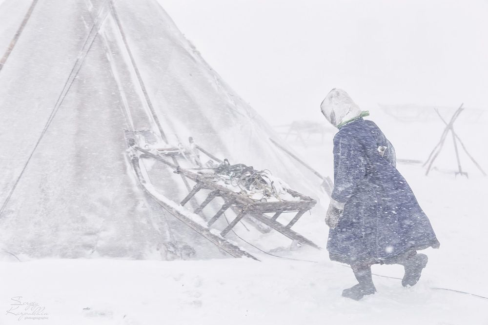 Пурга