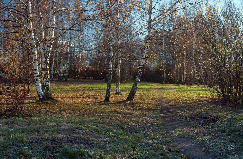 Прогулка по осеннему парку