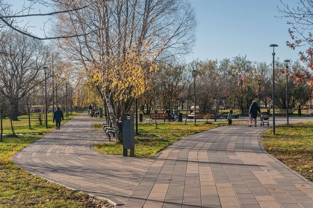 Прогулка по осеннему парку