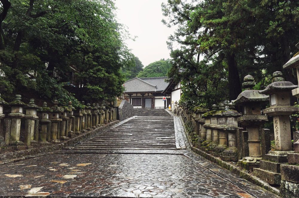 Rainy Nara