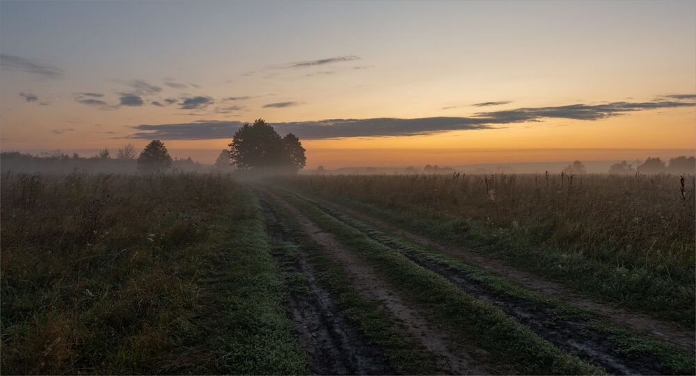 August dawn ...