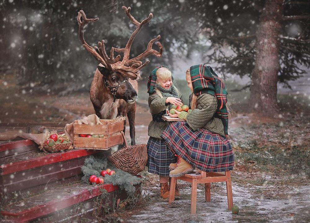 Гномы