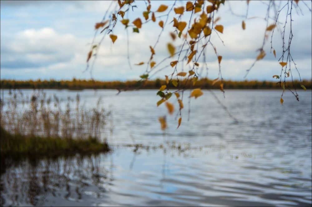Настроение - осень.