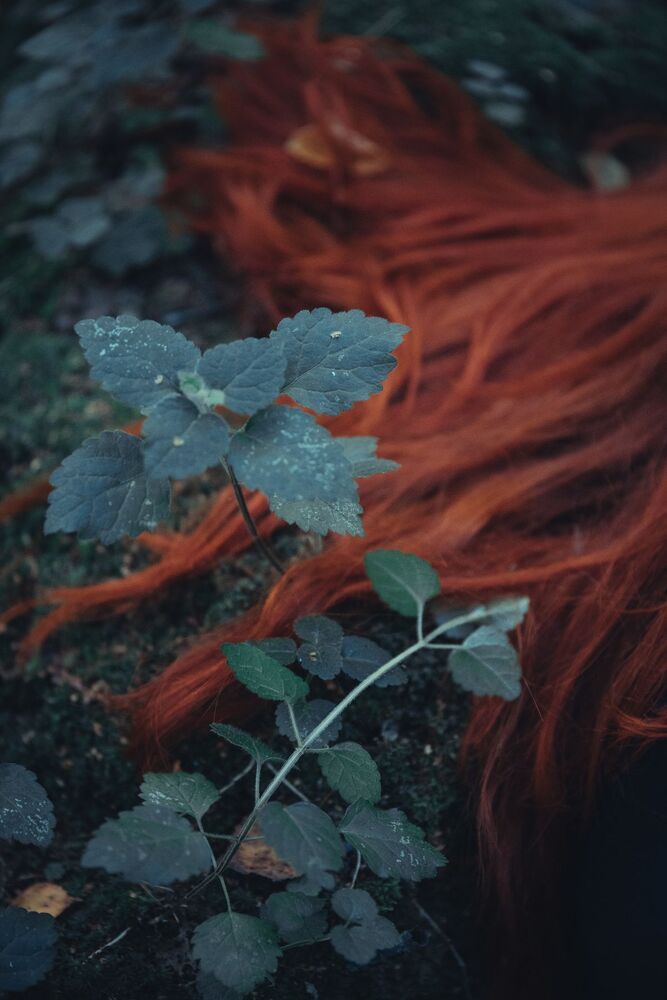 https://35photo.ru/photos_series_prev/360/1803752_320r.jpg