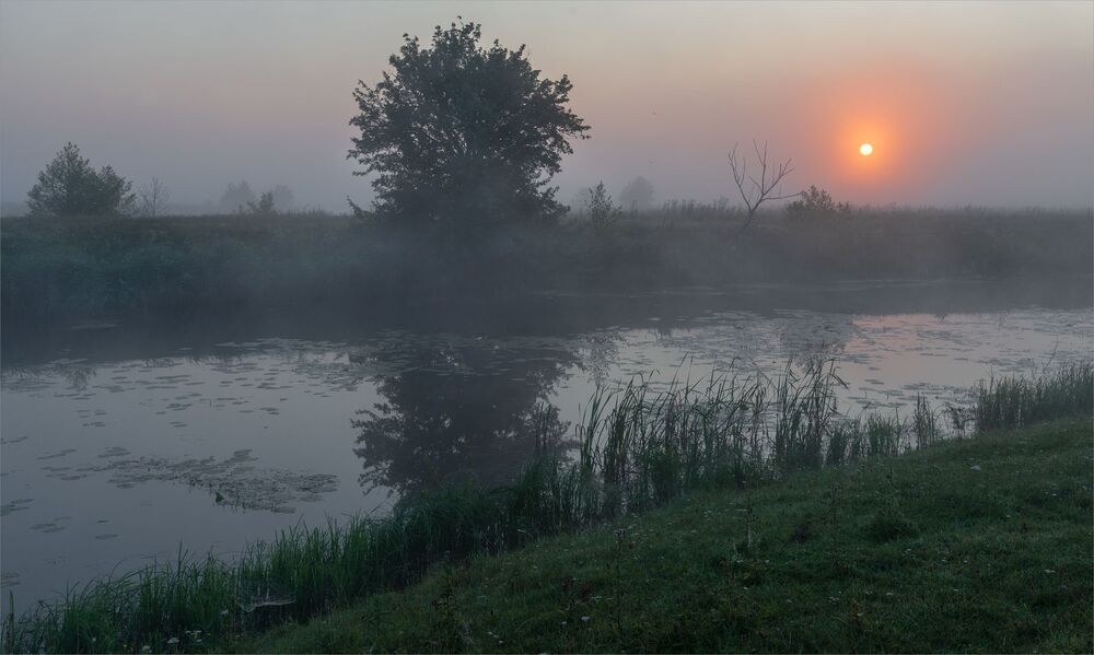 в рассветных туманах...