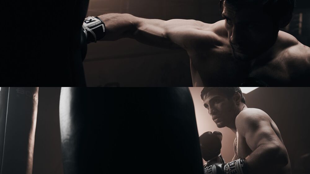 Boxing, professional fighter