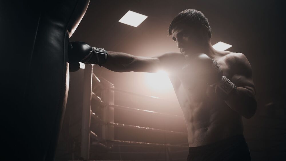Boxing, professional fighter