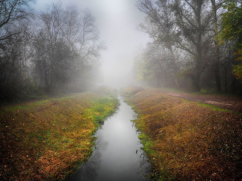 Foggy river
