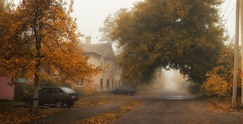 Туманная осень в сталинках