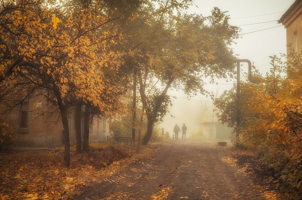 Туманная осень в сталинках