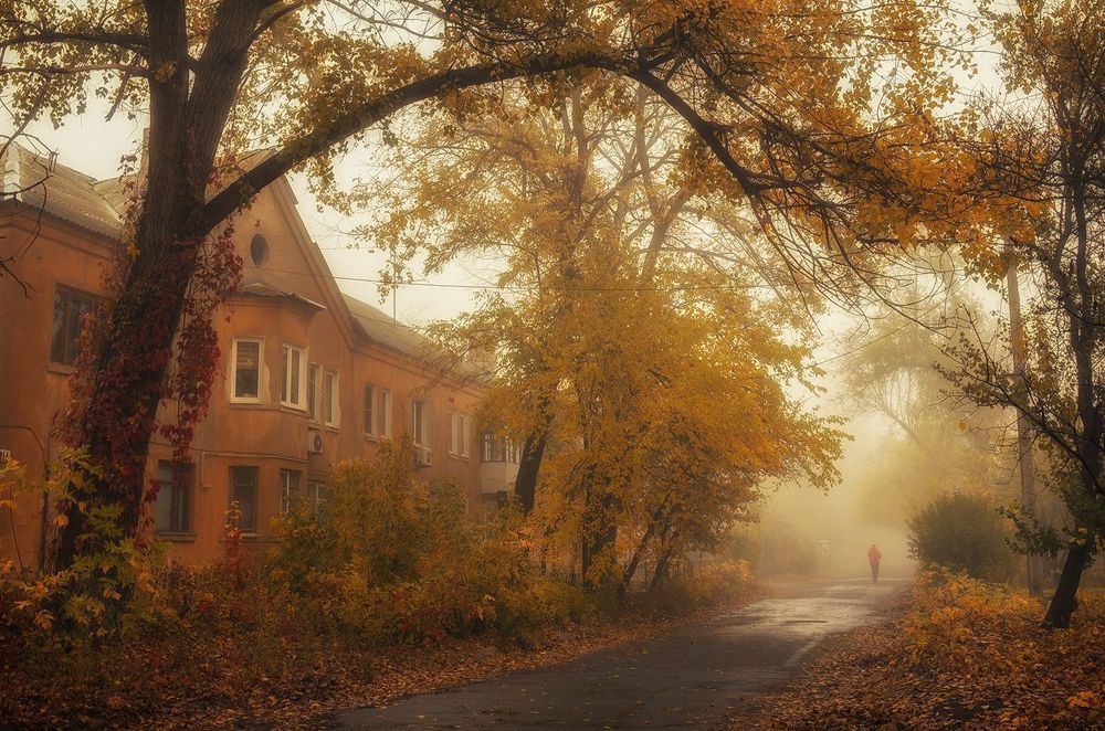 Туманная осень в сталинках