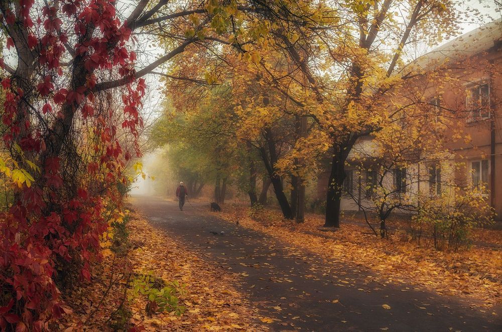 Туманная осень в сталинках