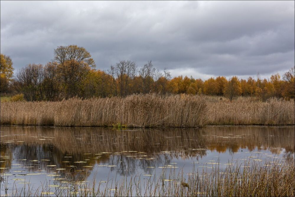 Осень на речке