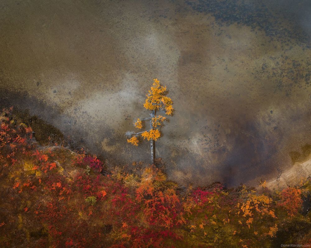 Jack London aerials