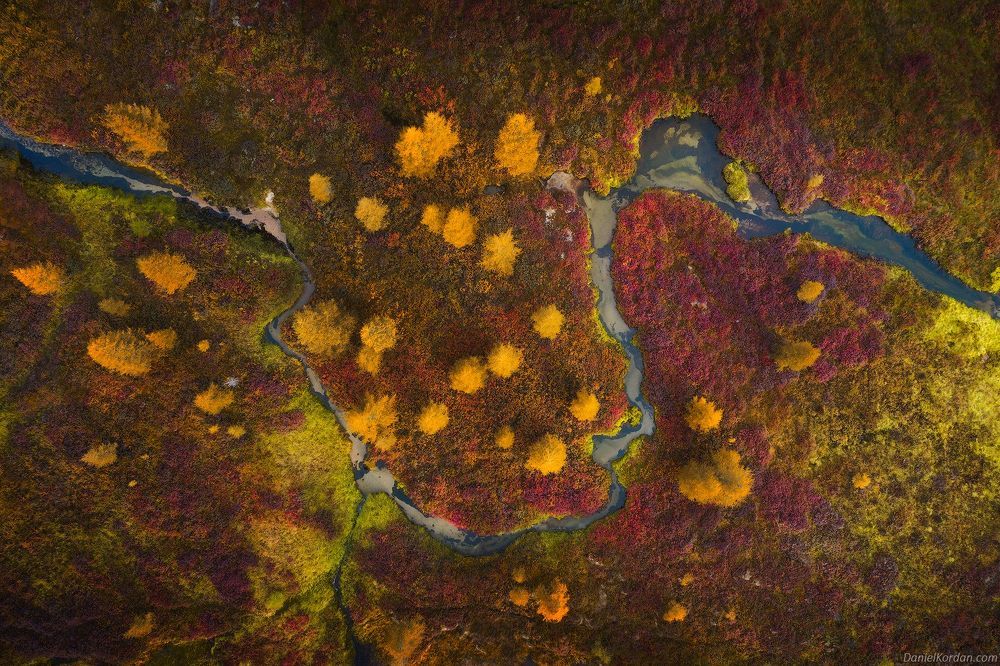 Jack London aerials