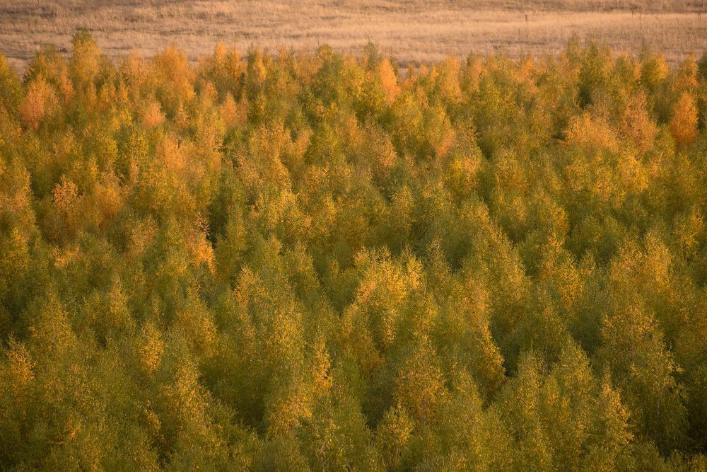 Осенние краски