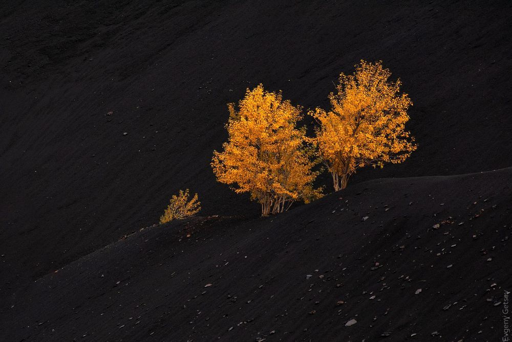 Космическая осень