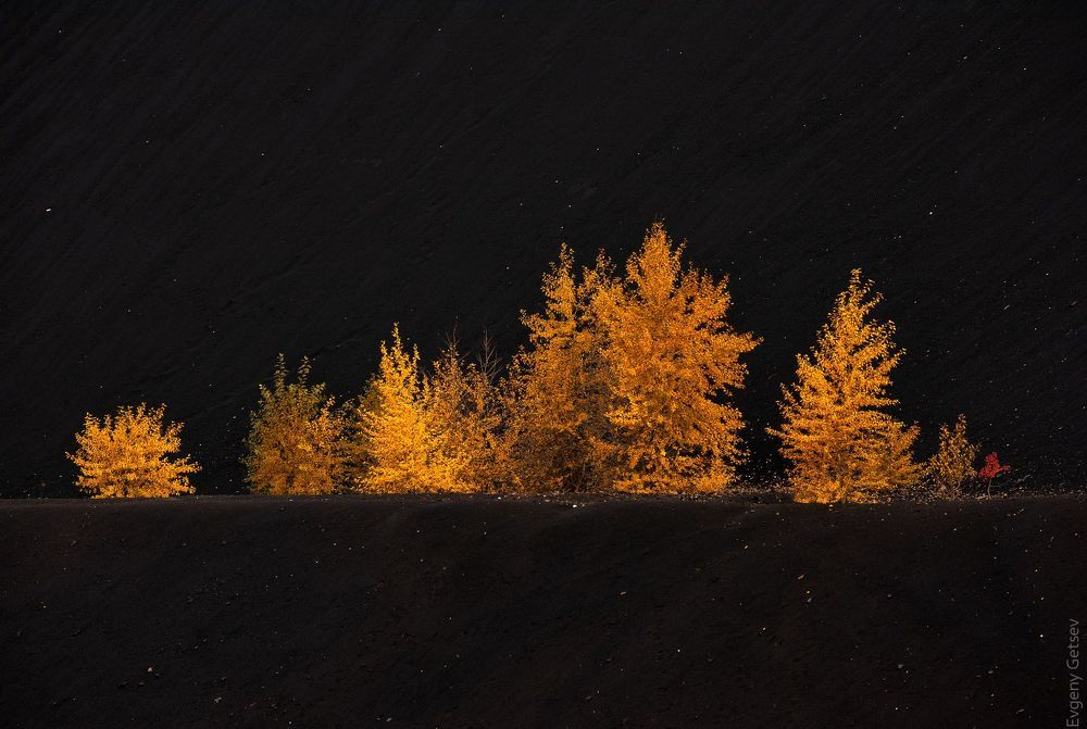 Космическая осень