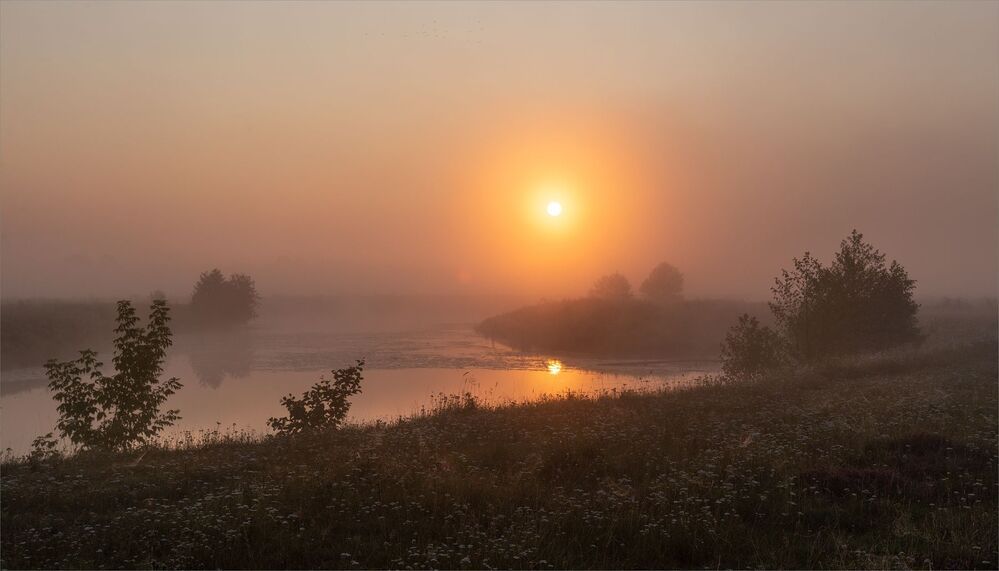 my dawns...
