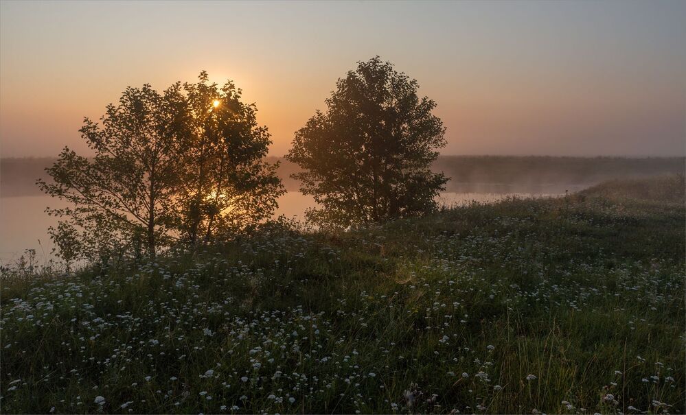 my dawns...
