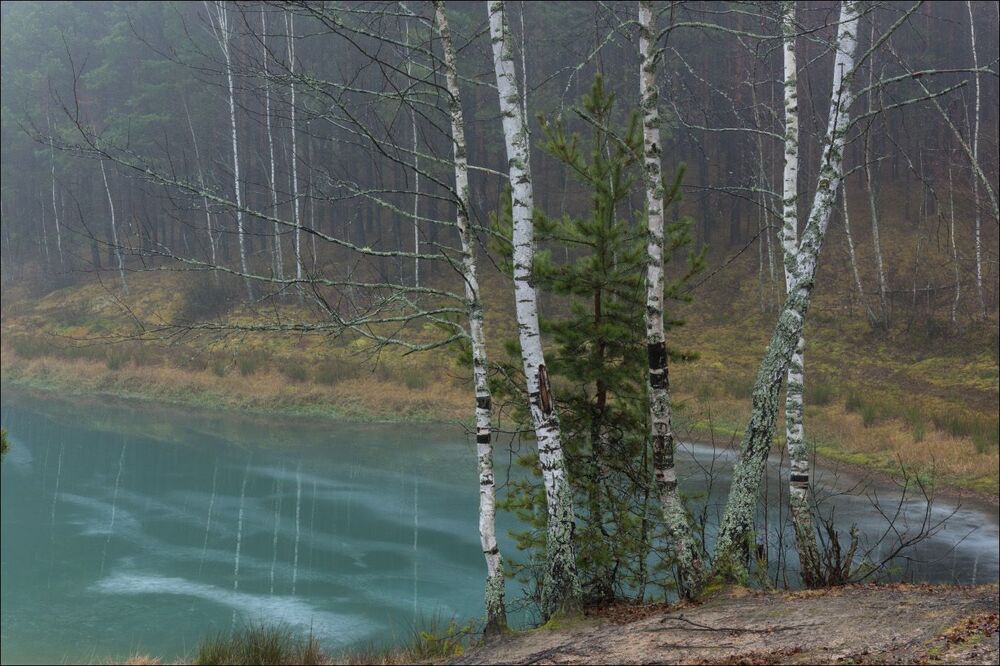 На озере после ночного дождя