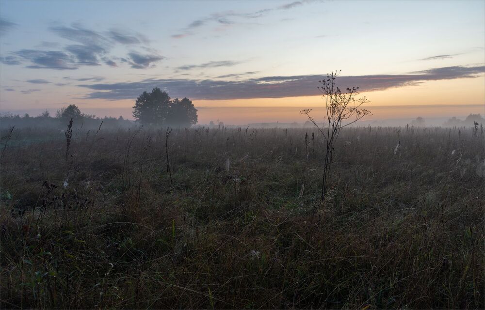 in the dawn silence...