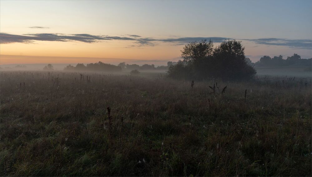 in the dawn silence...