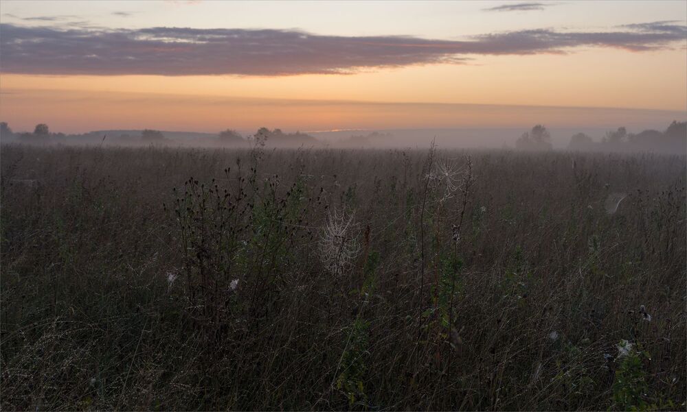 in the dawn silence...