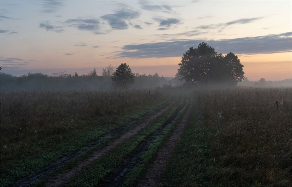 in the dawn silence...