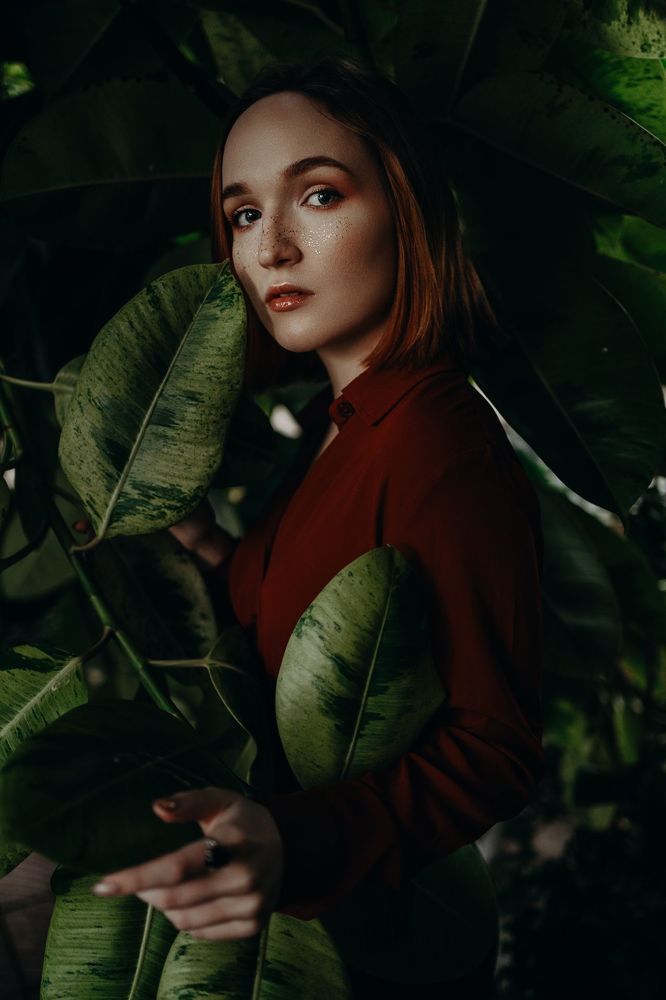 Ксения