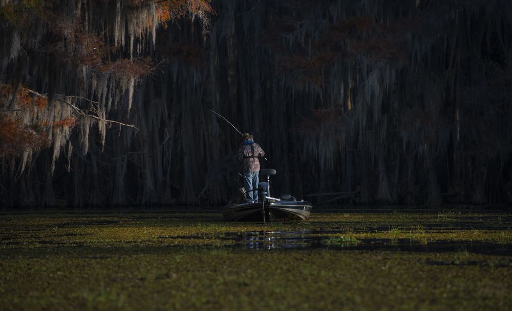 Fishing in the Swamps of Texas and Louisiana