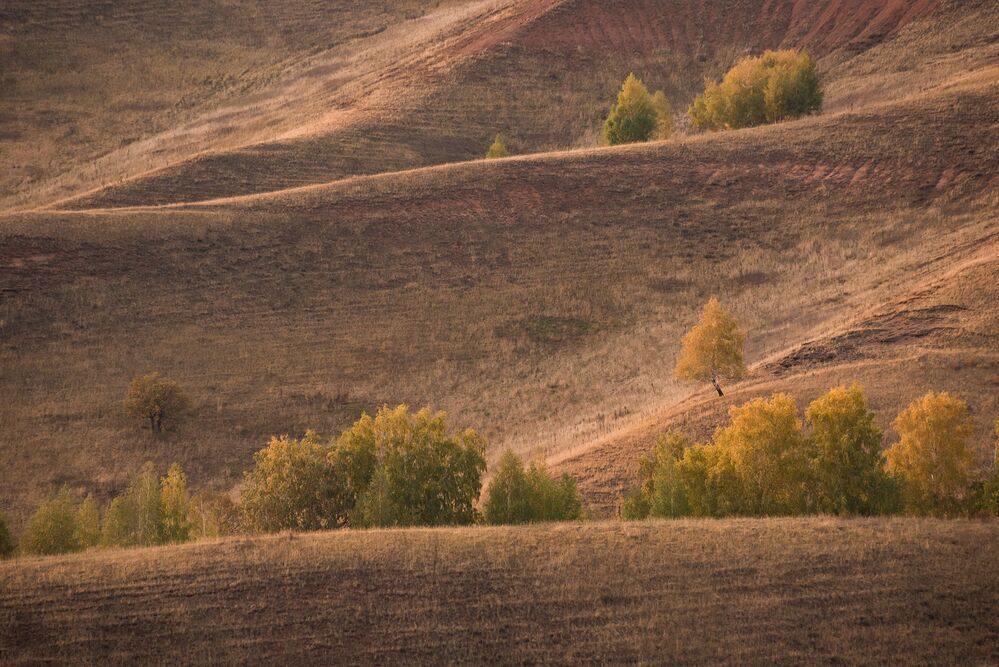 Волнообразные холмы