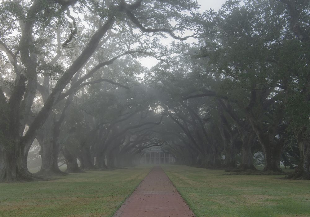 Oak Alley Plantation